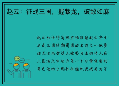 赵云：征战三国，握紫龙，破敌如麻